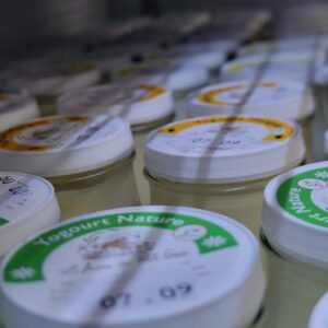 Yoghourt